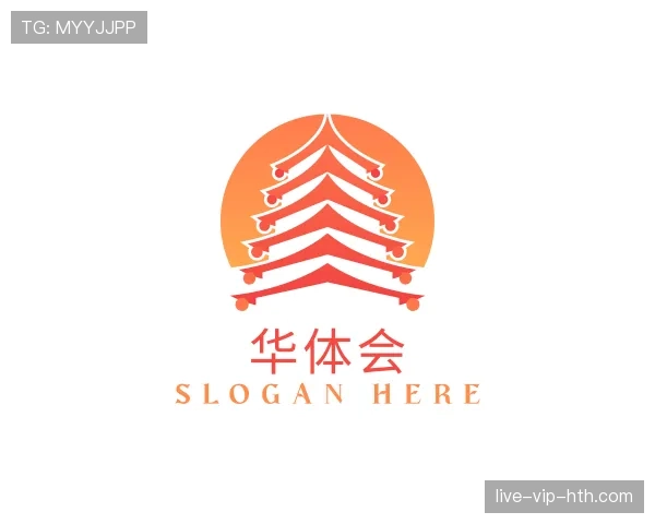 介绍华体会世界杯